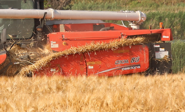 99.9%의 수확을 만드는 깔끔한 탈곡