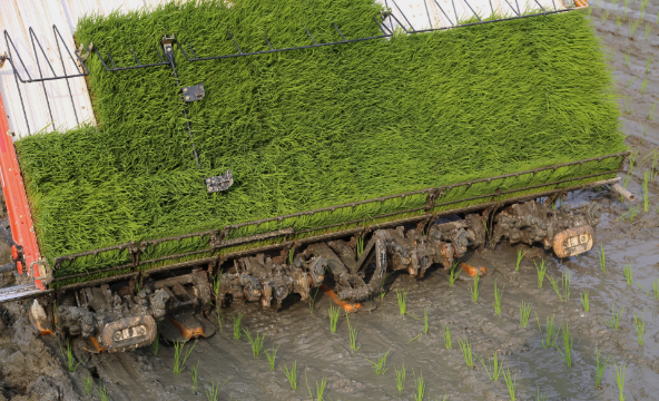 기술과 축적된 노하우로 이앙기의 한계를 극복한 이앙기