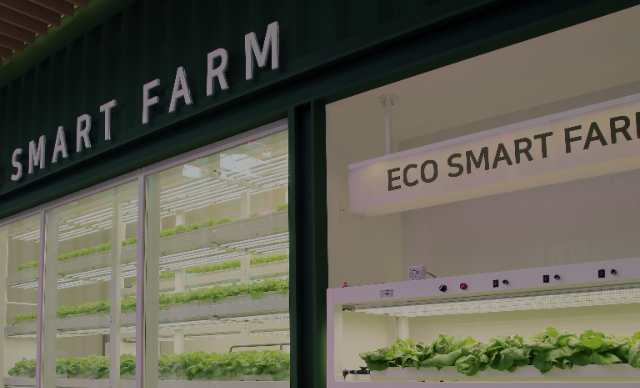 스마트 팜