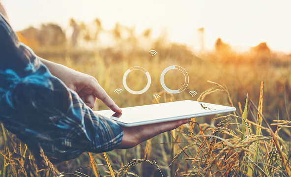 정밀농업 · 수확량 맵 · 자율주행 연계