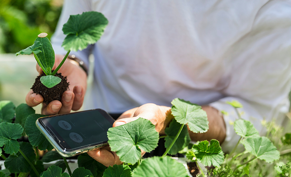 맞춤형 농사정보