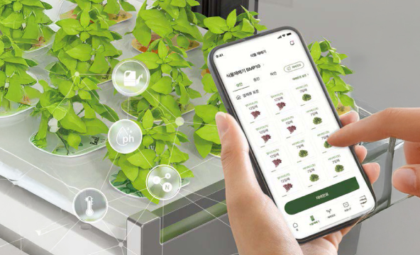 AI 기반 분석 솔루션